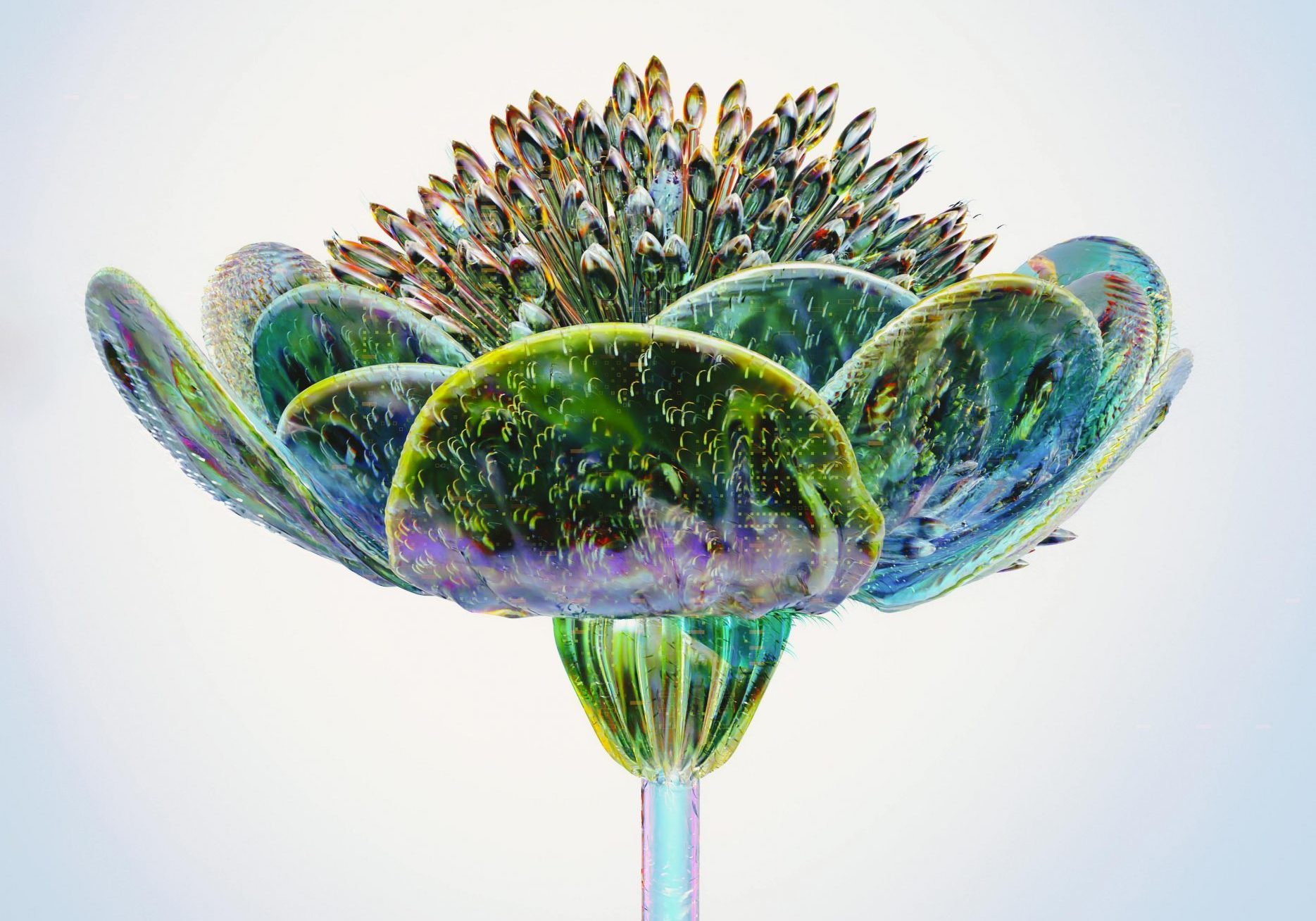 pexels-google-deepmind-17485679