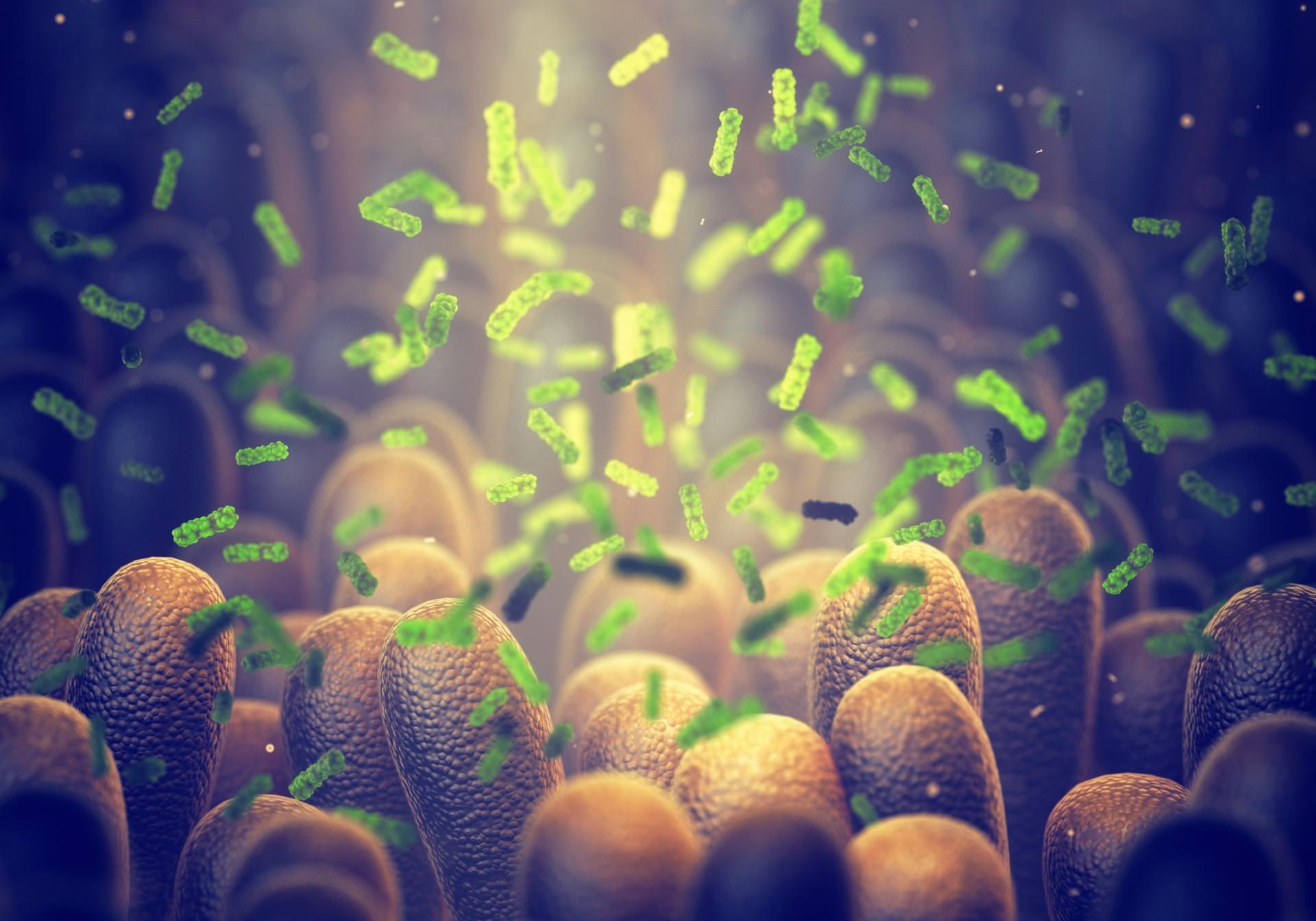 shutterstock_1495084595