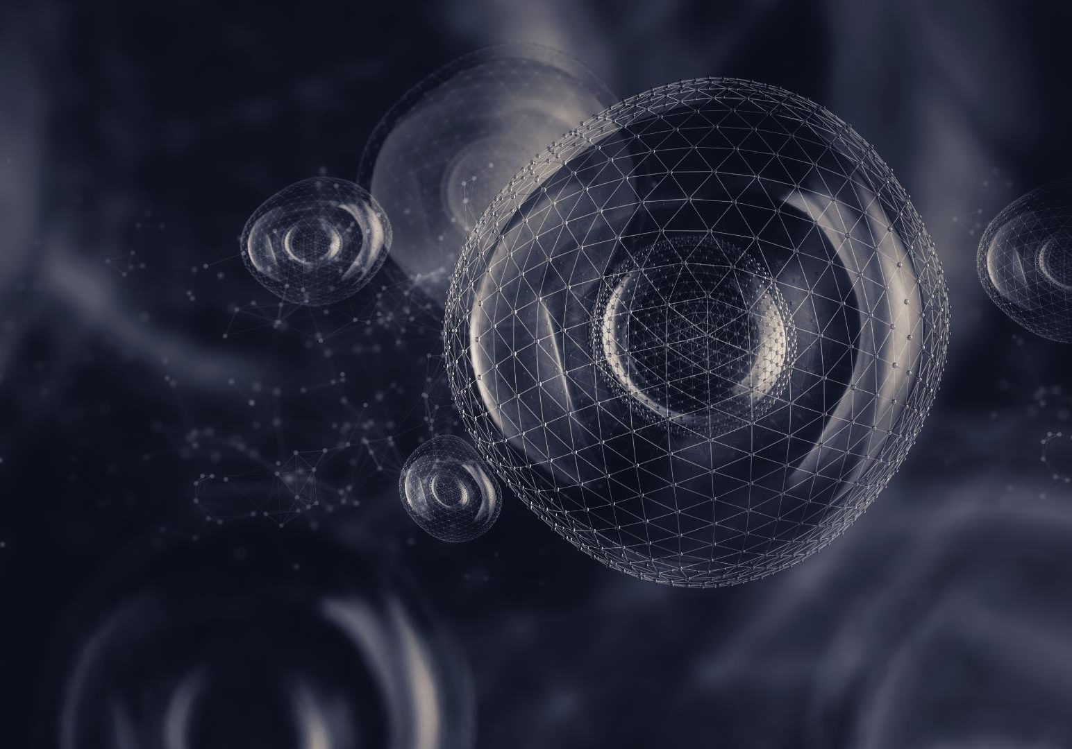 shutterstock_1499982299